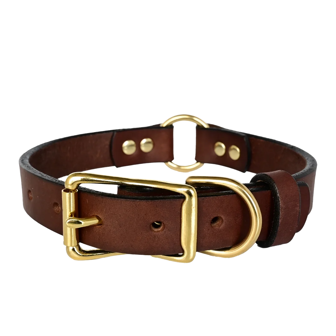 Hunting Leather Dog Collar - Brown Leather - Brass Hardware