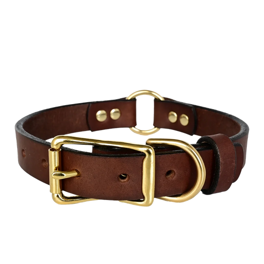 Hunting Leather Dog Collar - Brown Leather - Brass Hardware