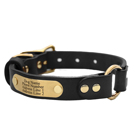 Personalized Hunting Dog Collar - Black Leather - Brass Name Plate