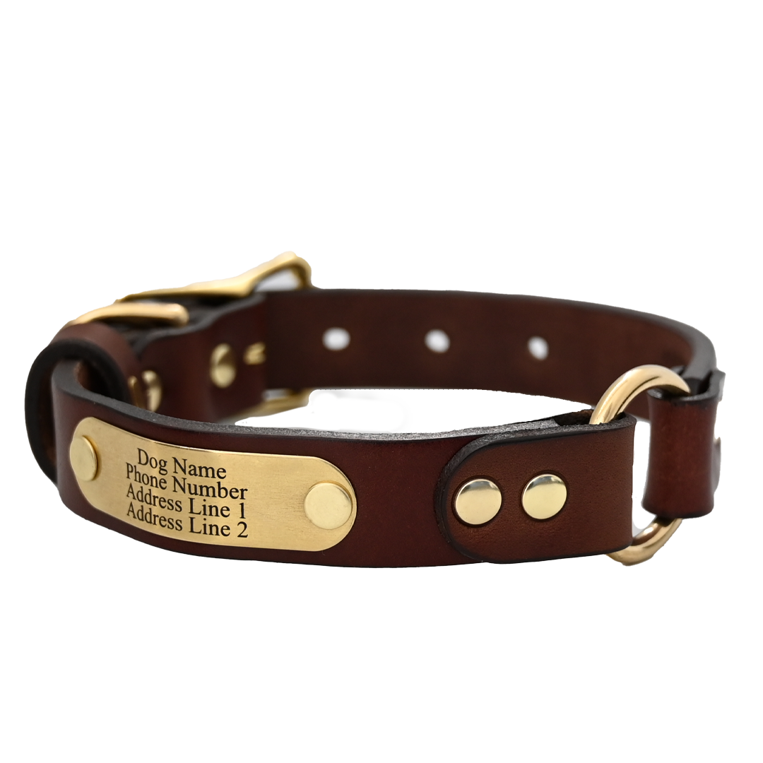 Personalized Hunting Dog Collar - Brown Leather - Brass Name Plate