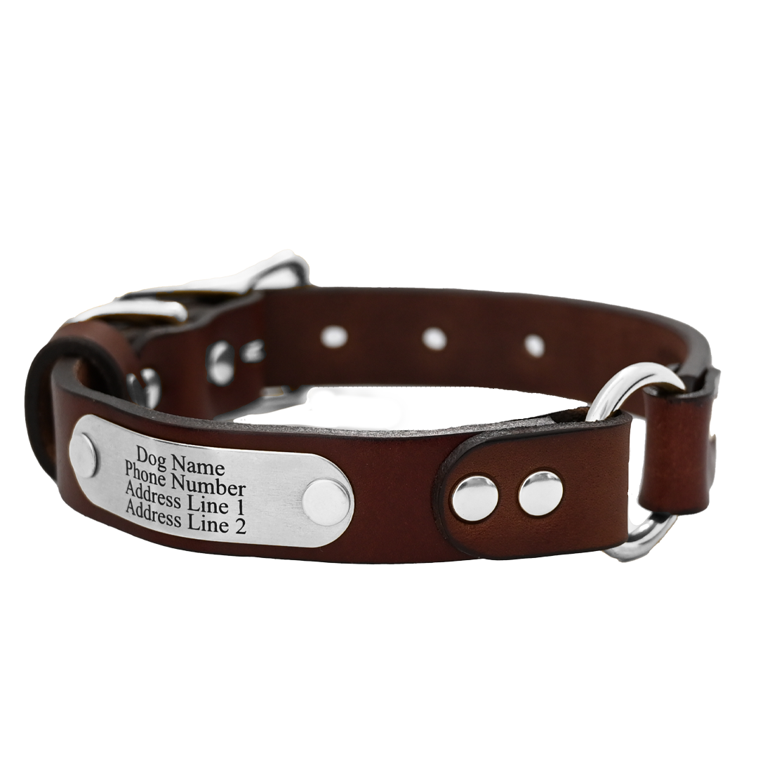 Personalized Hunting Dog Collar - Brown Leather - Stainless Steel Name Plate
