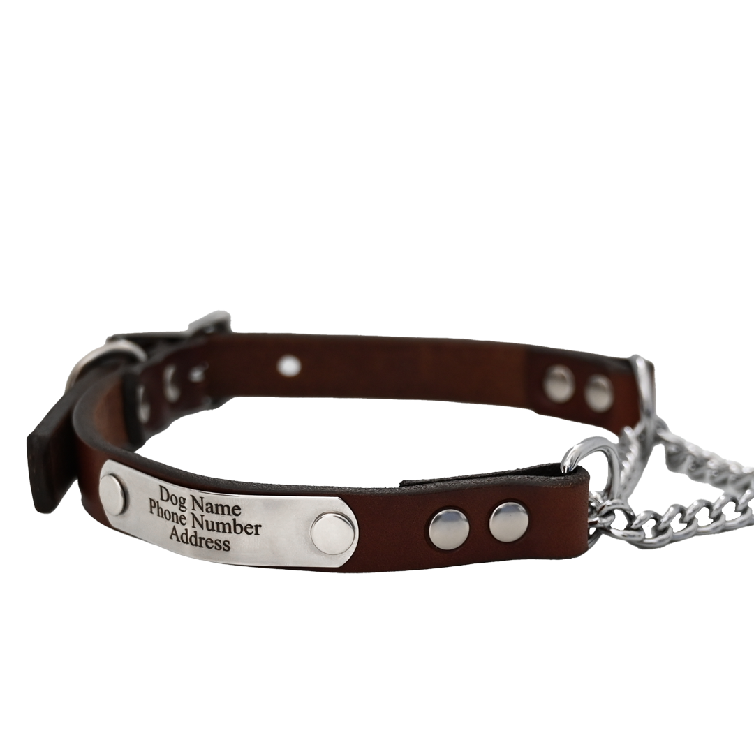 Martingale collar online with nameplate