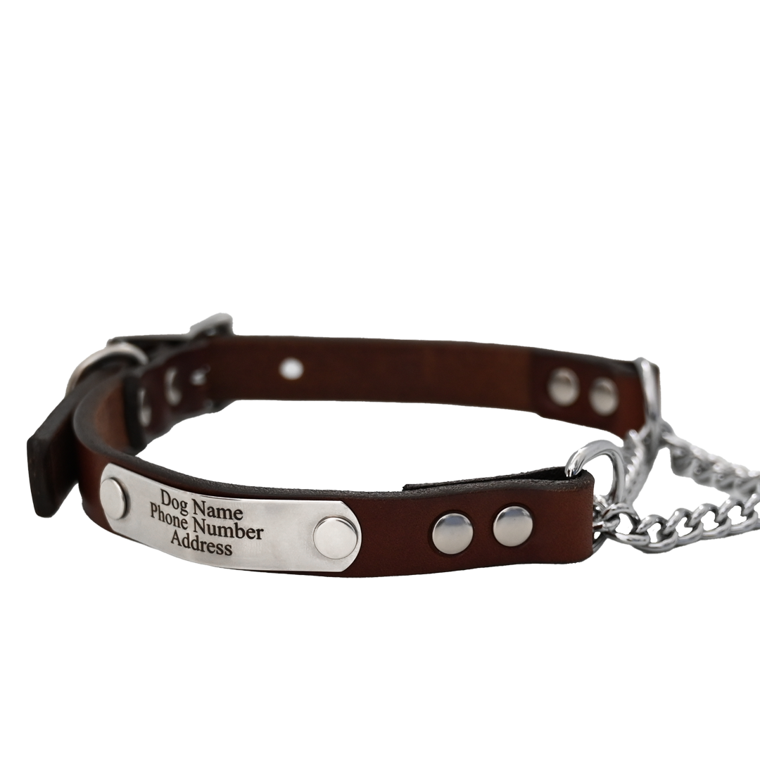 Personalized Martingale Dog Collar - Brown Leather