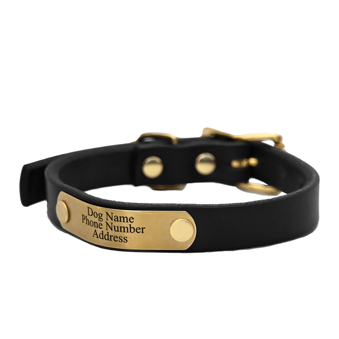 Personalized Small Dog Collar - Black Leather  - Brass Nameplate