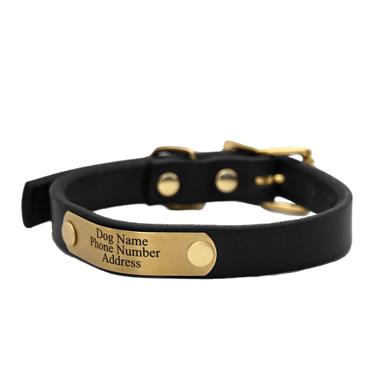 Personalized Small Dog Collar - Black Leather  - Brass Nameplate