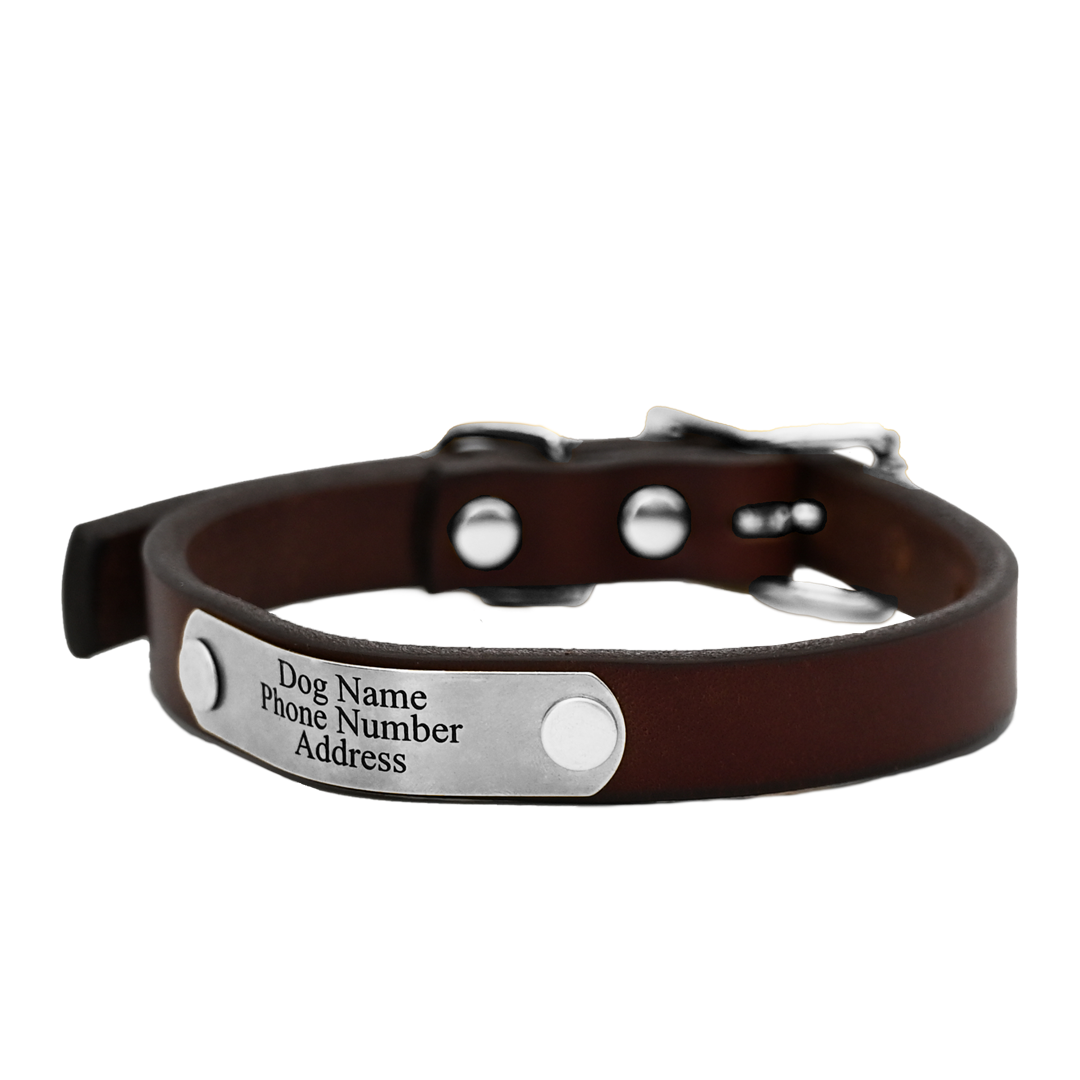 Personalized Small Dog Collar - Brown Leather  - Stainless Steel Nameplate