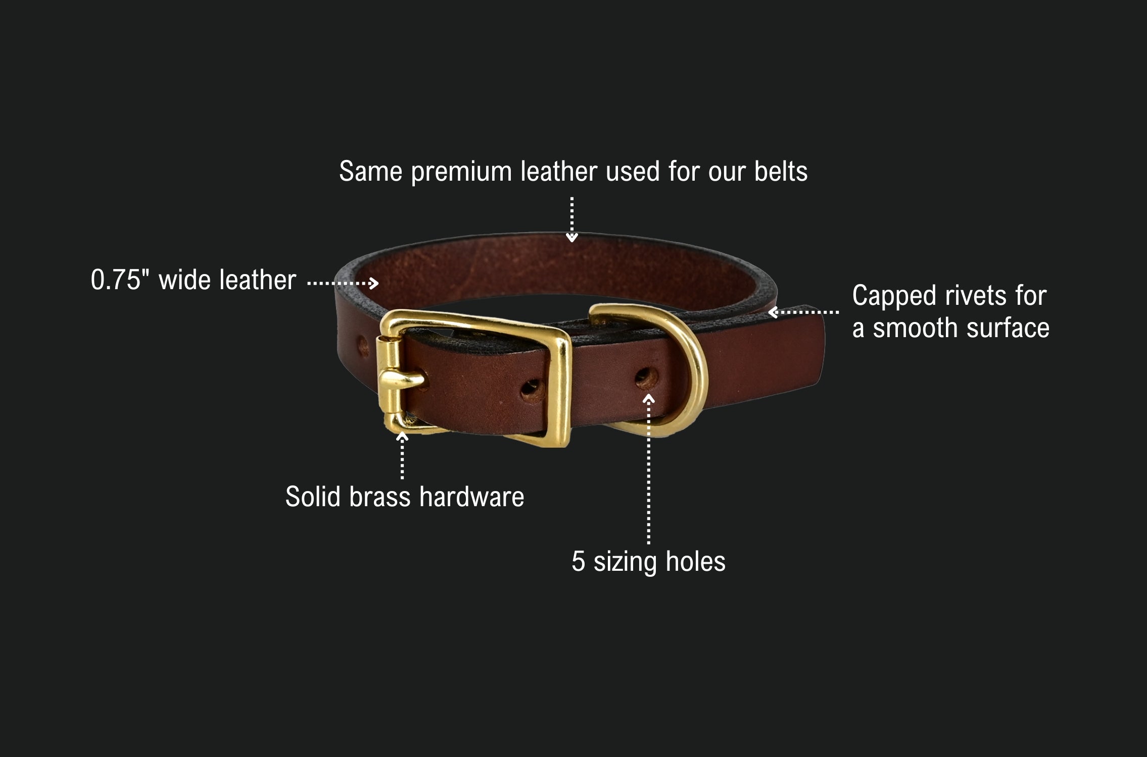 small breed dog collar spec sheet