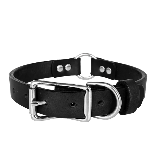 Center Ring Dog Collar--American Bench Craft-ABC-PP-ORCL-BL-NI