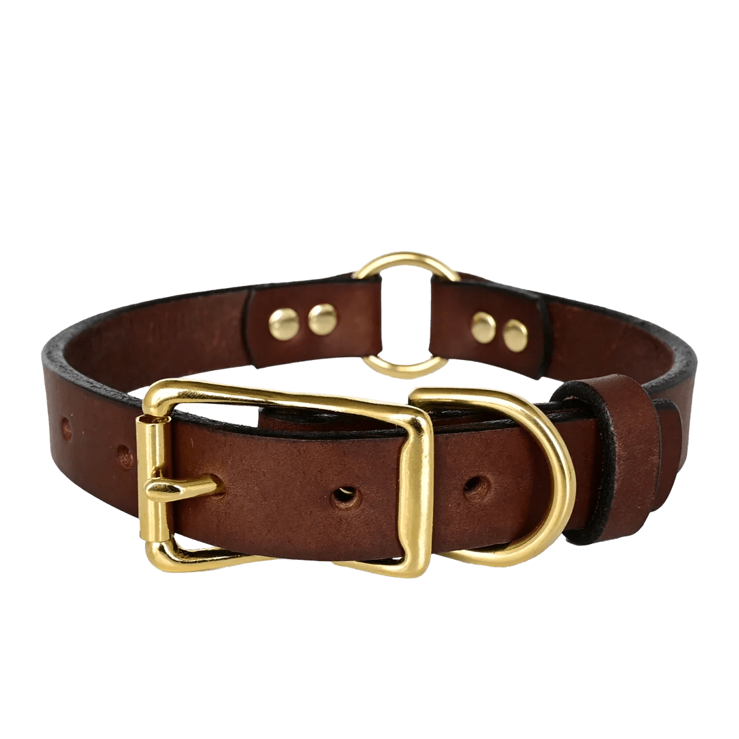 Leather center ring dog sale collar