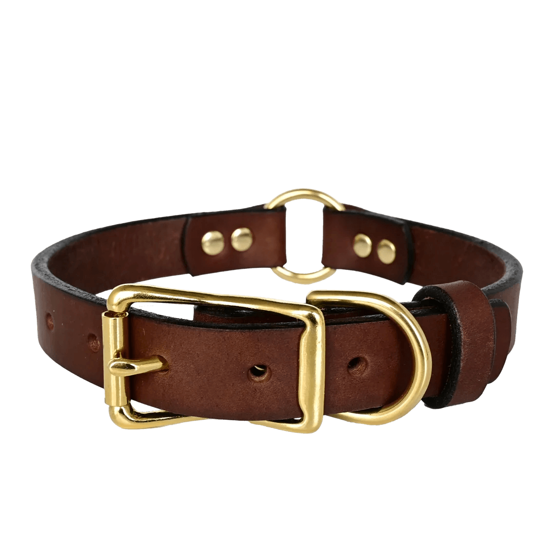 Hunting Dog Collar American Bench Craft