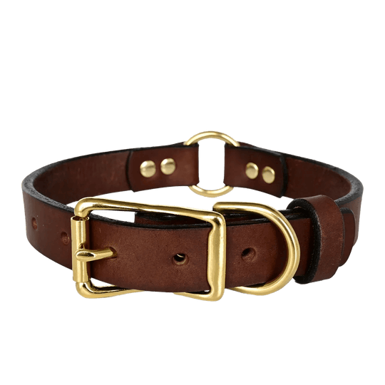 Center Ring Dog Collar--American Bench Craft-ABC-PP-ORCL-BR-BR