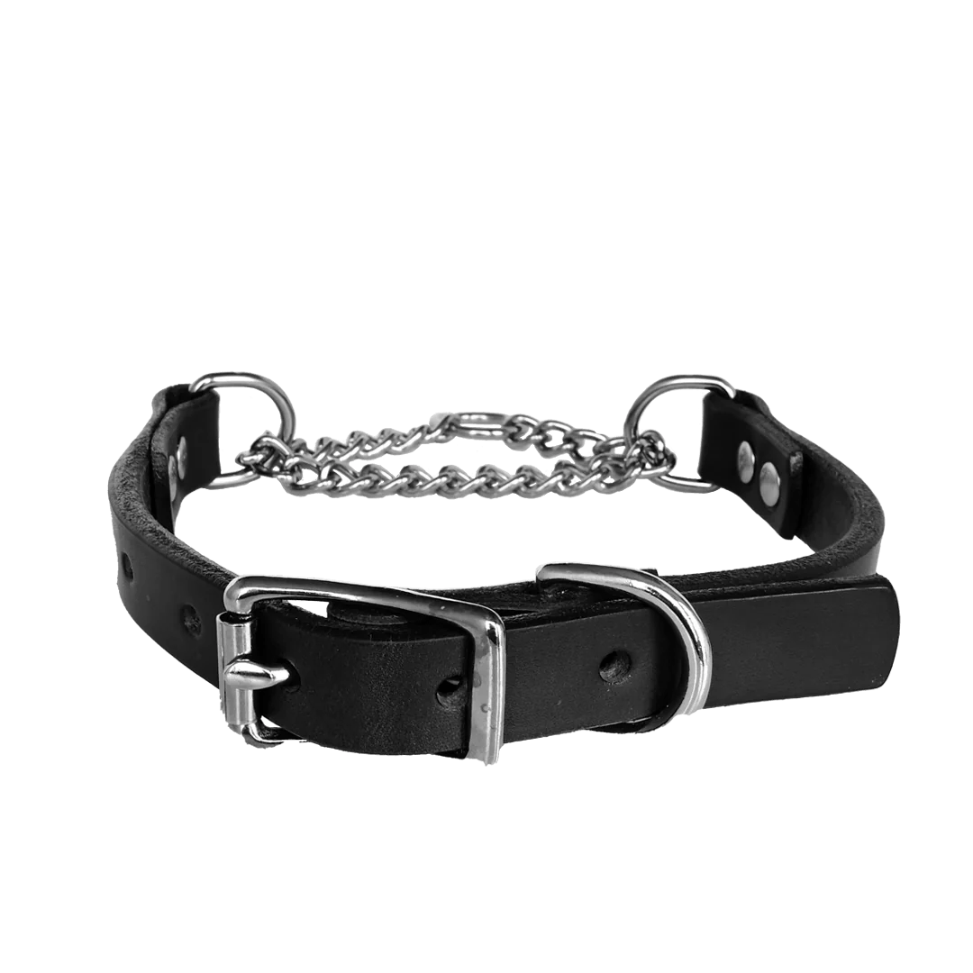 Martingale Dog Collar--American Bench Craft-ABC-PP-MART-BL