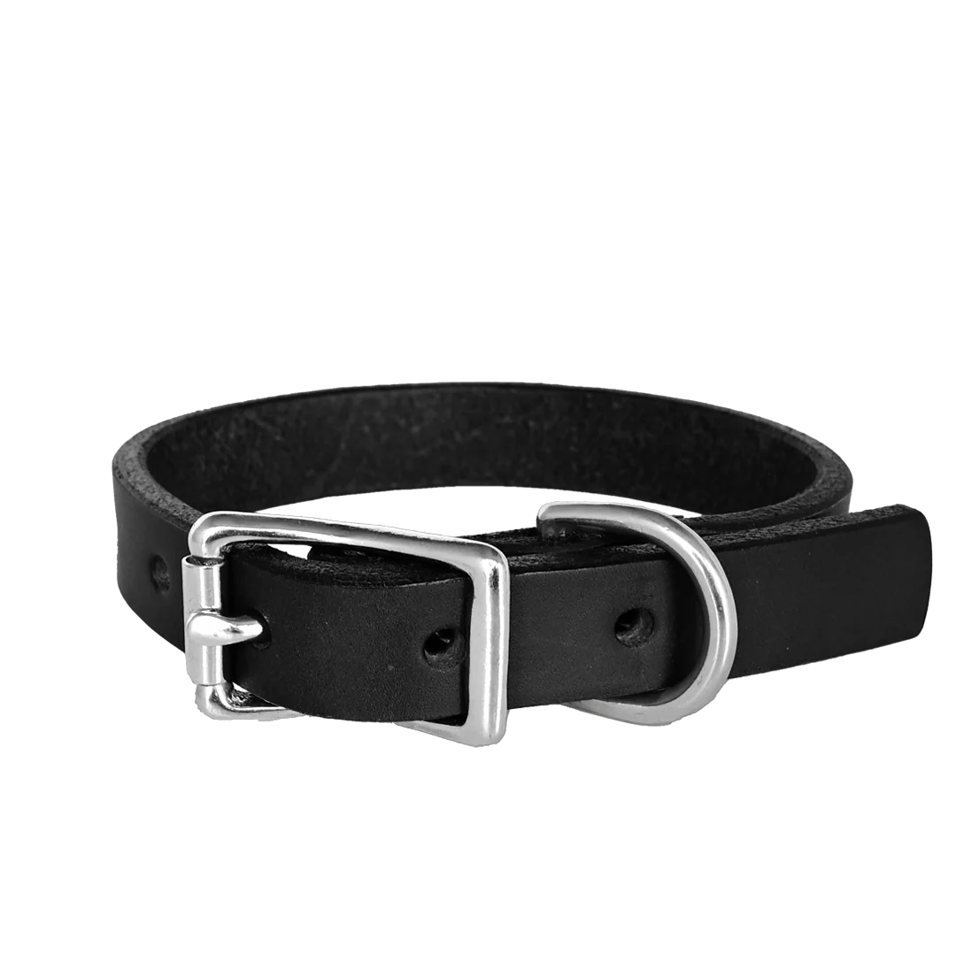 Small Dog Collar--American Bench Craft-ABC-PP-SSC-BL-NI