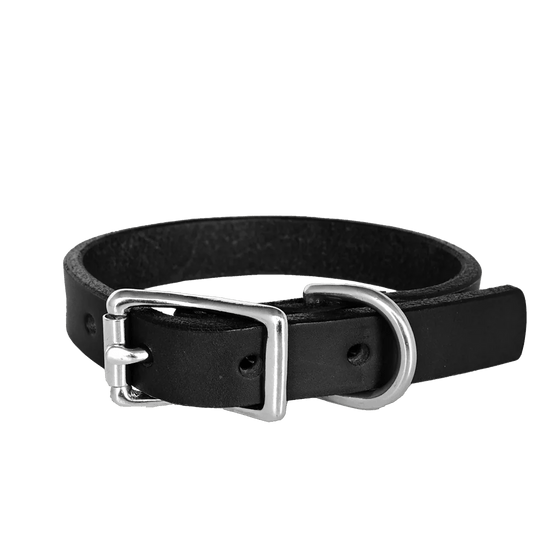 Small Dog Collar--American Bench Craft-ABC-PP-SSC-BL-NI