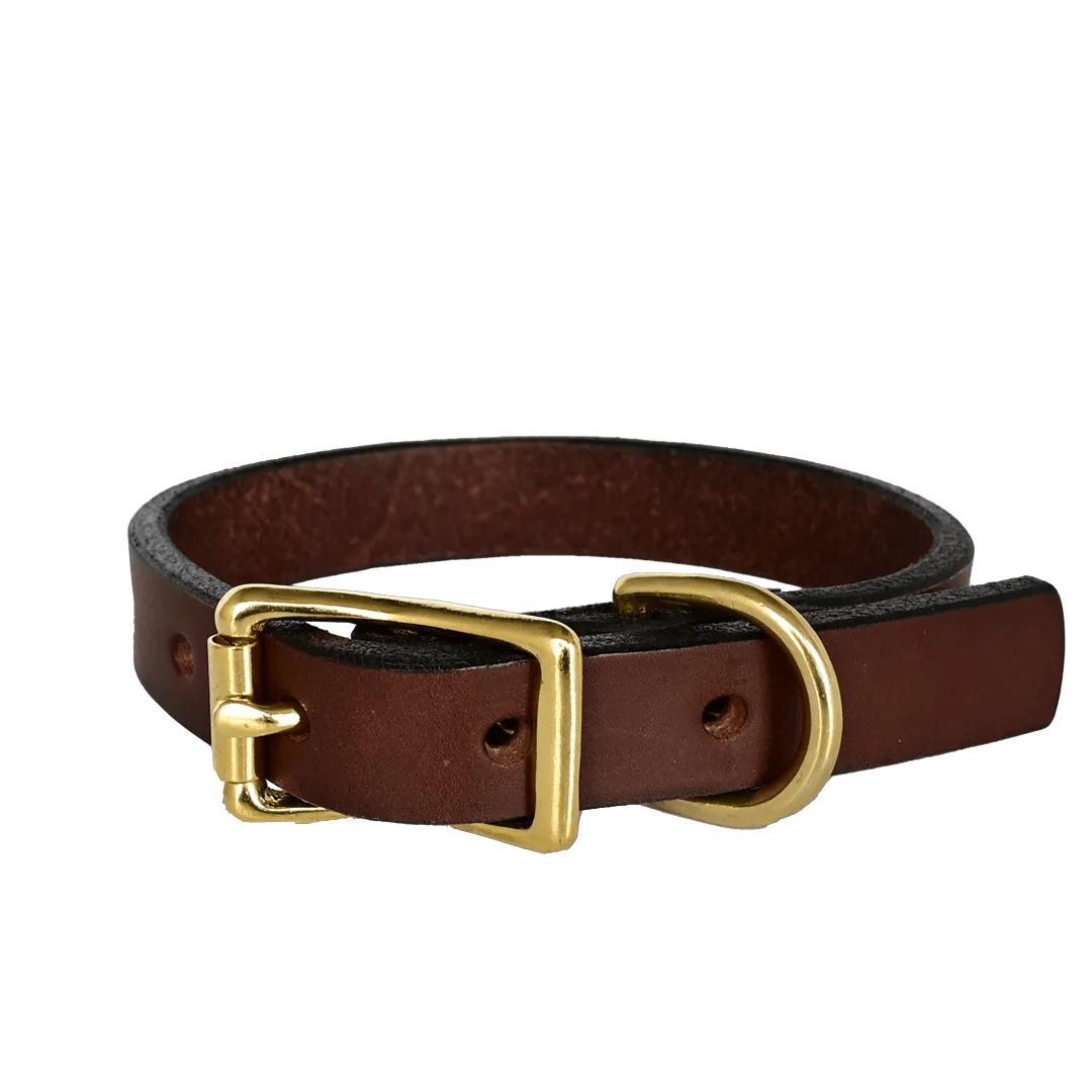 Classic Brass Small Dog Collar (5/8 Width) – High Tail Hikes
