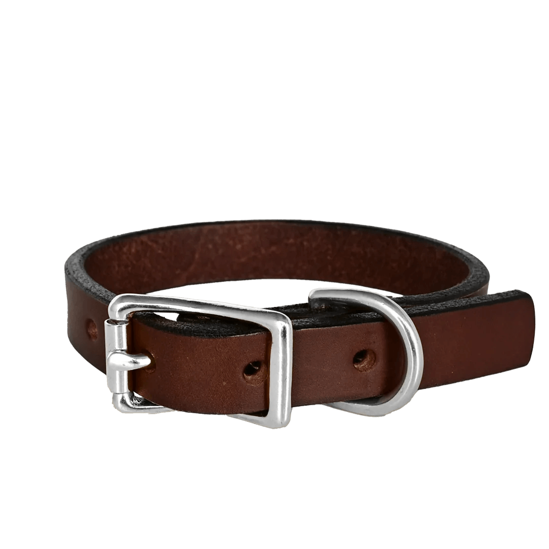 Small Dog Collar--American Bench Craft-ABC-PP-SSC-BR-NI