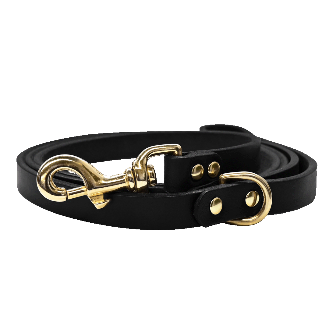 Leather Dog Leash | Leather Leash | Dog Leash | Made in USA