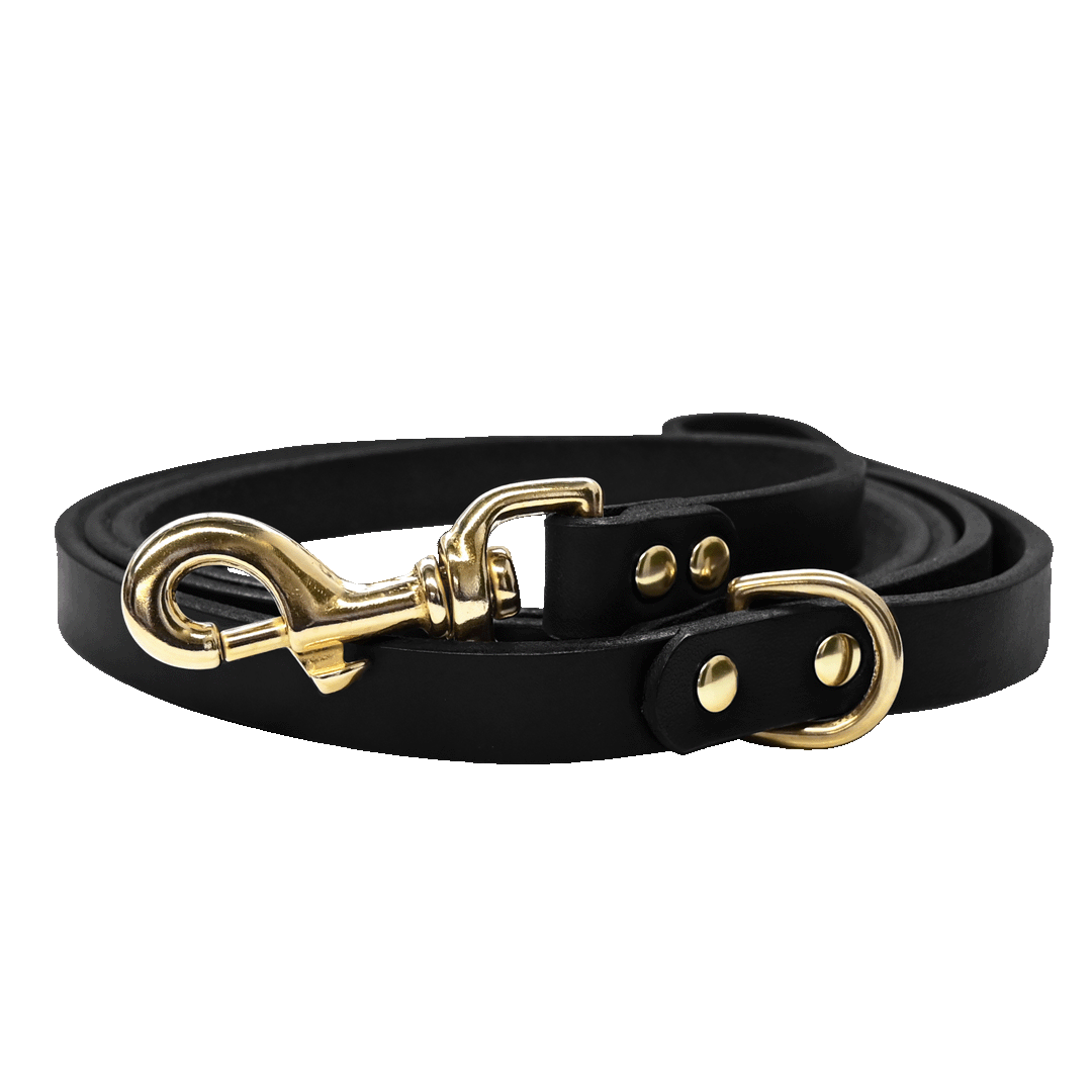 Dog Leash Black Brass