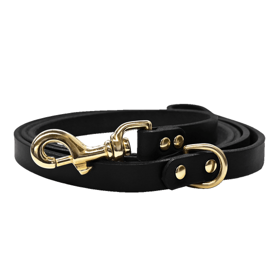 Dog Leash Black Brass