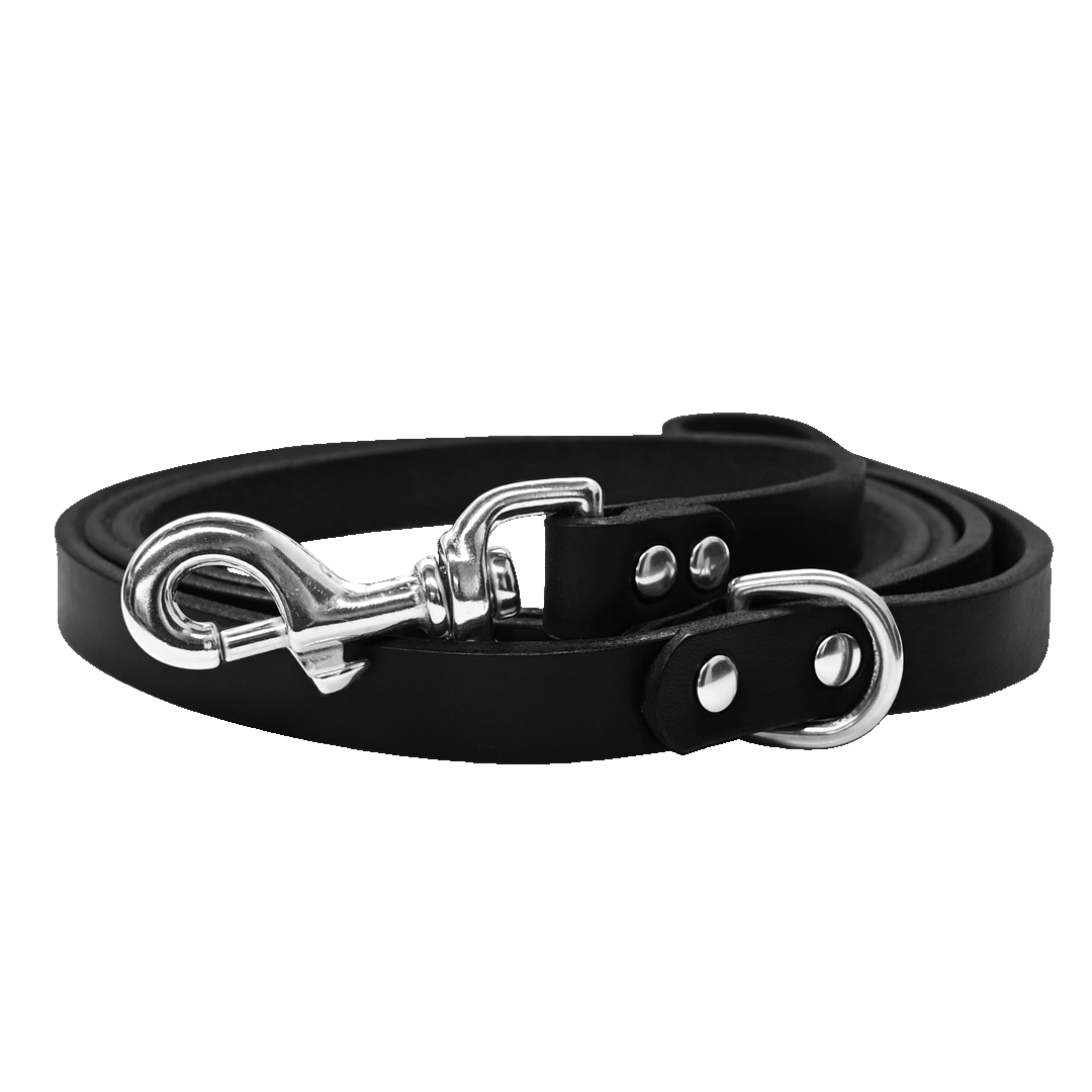 Dog Leash Black Nickel