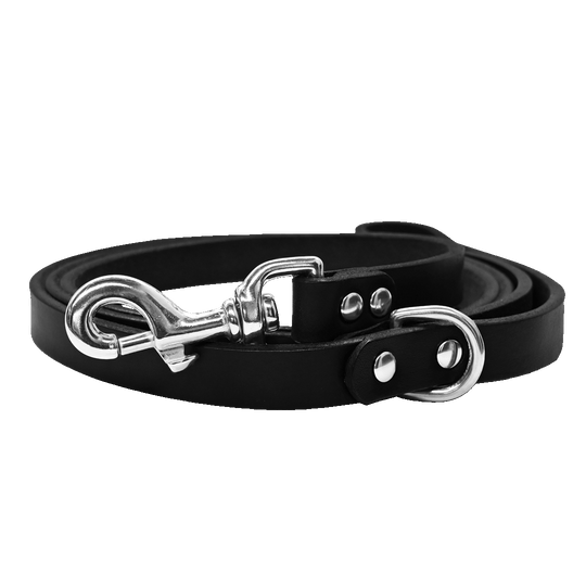 Dog Leash Black Nickel