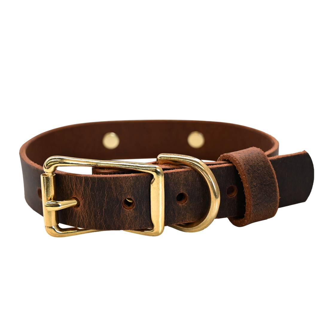 Distressed Brown Collar - Brass Hardware