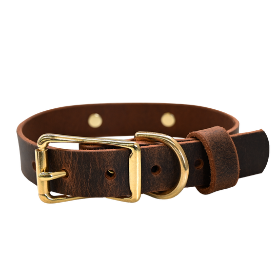 Distressed Brown Collar - Brass Hardware
