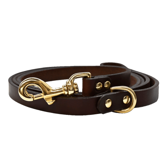 Dog Leash Brown Brass