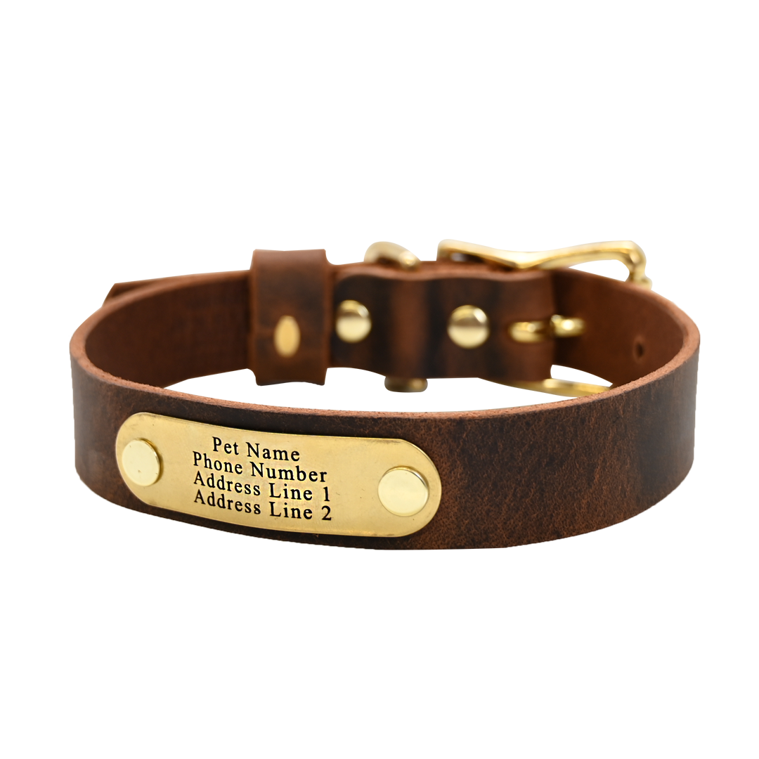 Distressed Brown Collar - Brass Nameplate