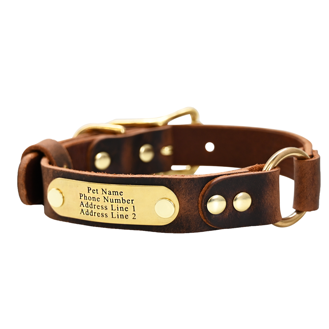Personalized Hunting Dog Collar - Distressed Brown - Brass Plate