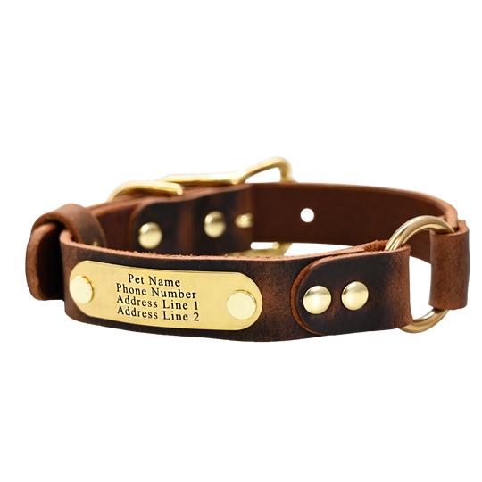 Personalized Hunting Dog Collar - Distressed Brown - Brass Plate