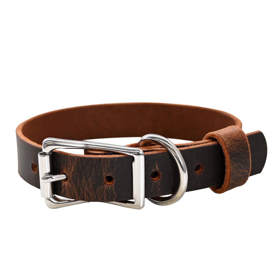 Standard Dog Collar - Distressed Brown - Nickel 