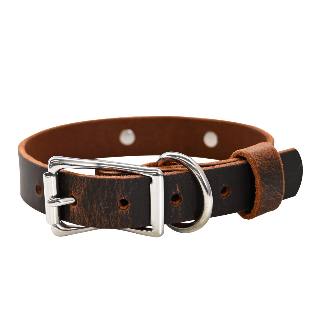 Distressed Brown Collar - Nickel Hardware