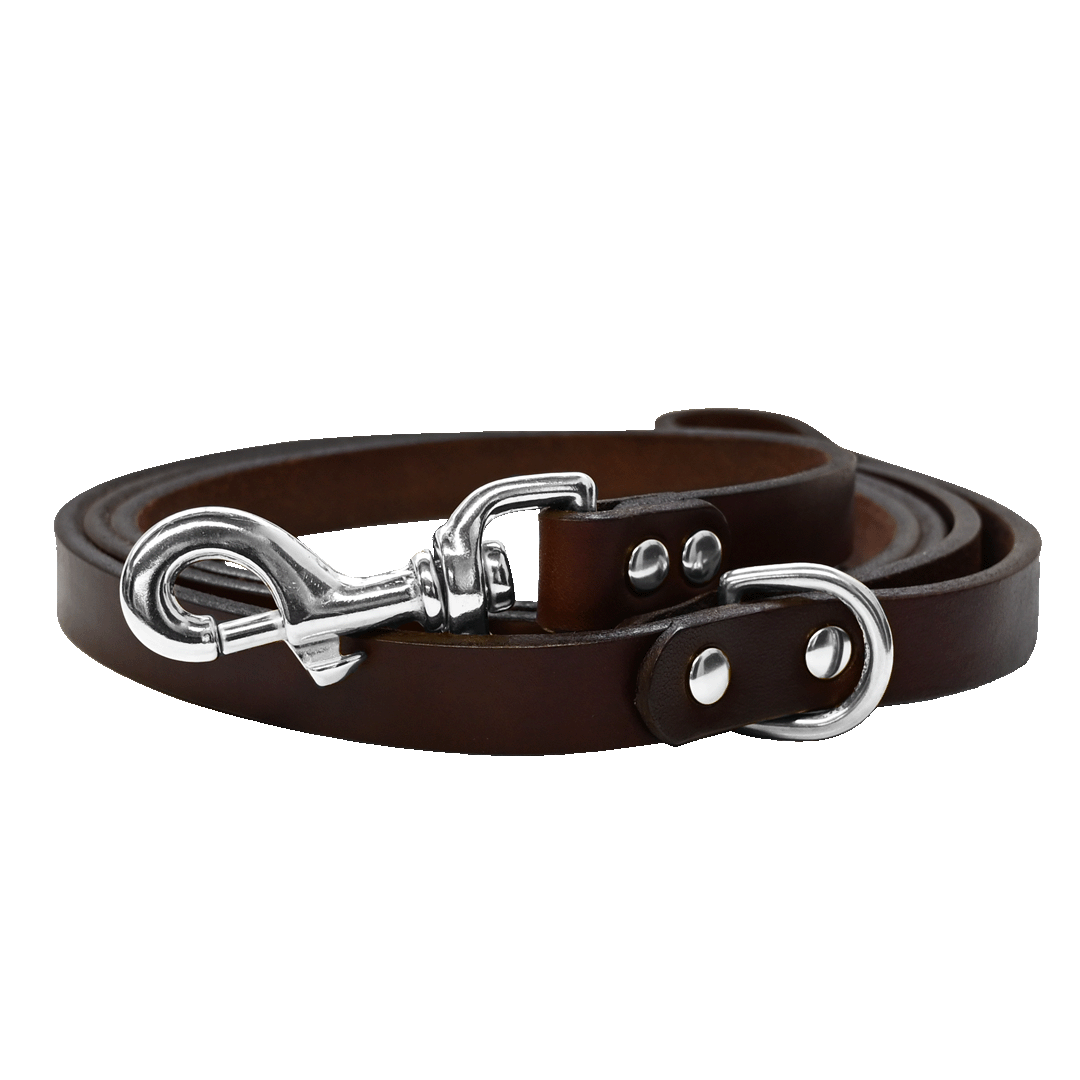 Dog Leash Brown Nickel