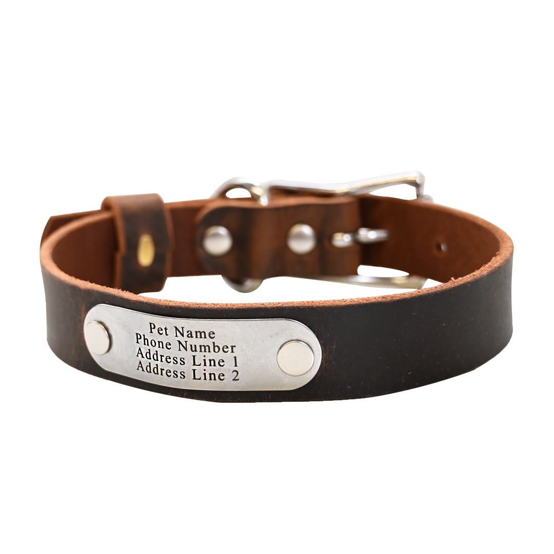 Distressed Brown Collar - Nickel Nameplate