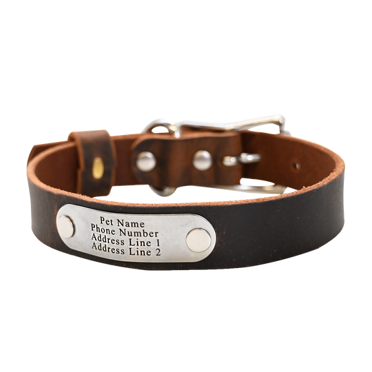 Distressed Brown Collar - Nickel Nameplate
