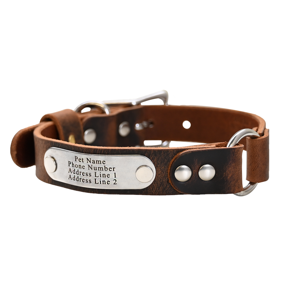Personalized Hunting Dog Collar - Distressed Brown - Nickel Plate