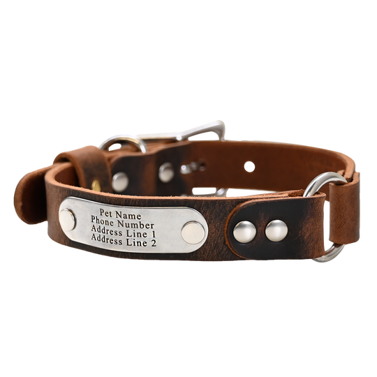 Personalized Hunting Dog Collar - Distressed Brown - Nickel Plate