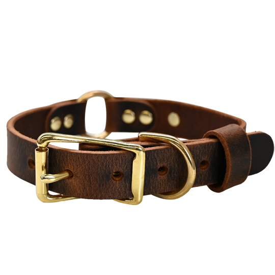 Personalized Hunting Dog Collar - Distressed Brown - Brass Hardware