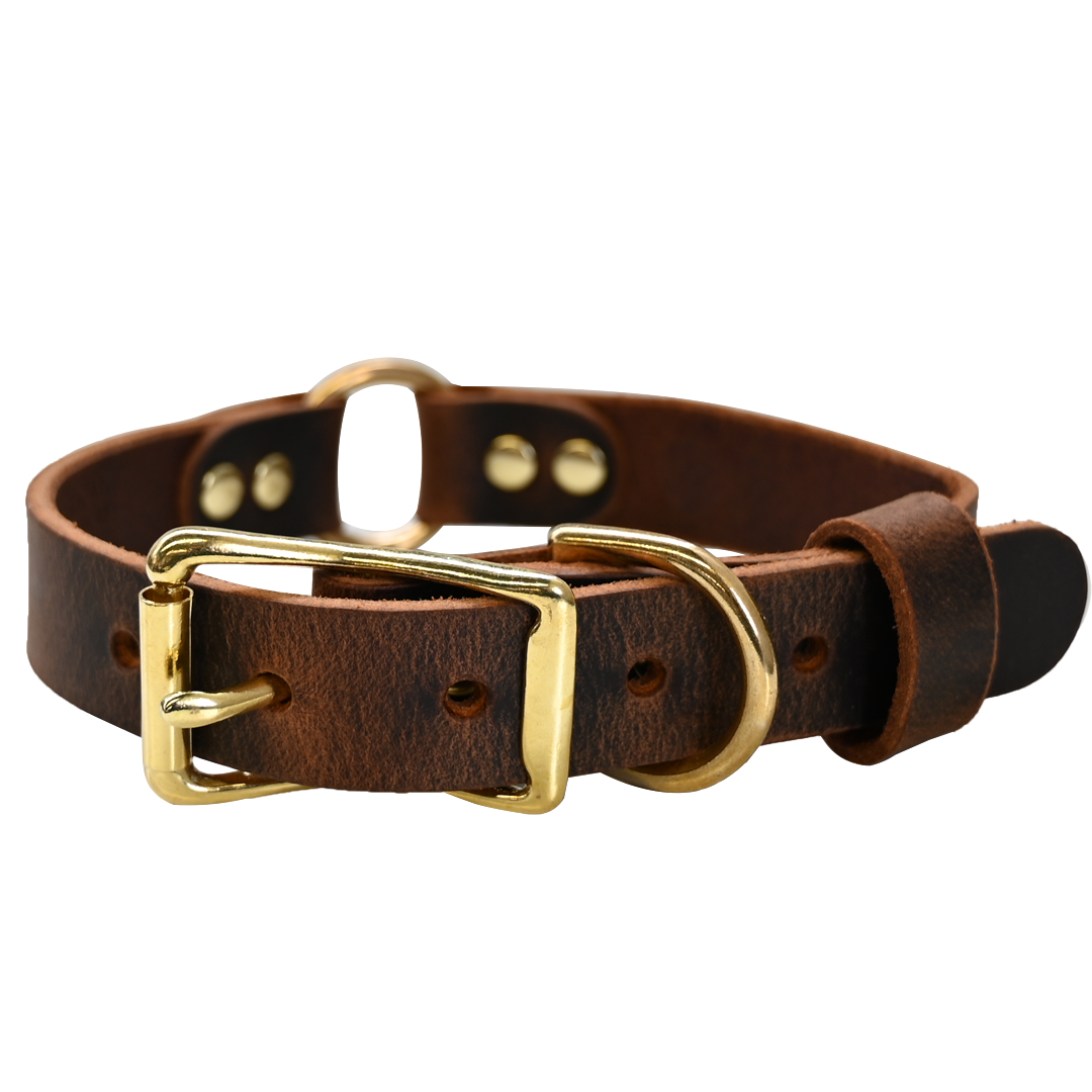 Hunting Dog Collar - Distressed Brown - Brass