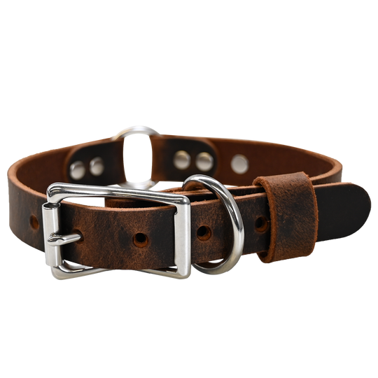 Personalized Hunting Dog Collar - Distressed Brown - Nickel Hardware