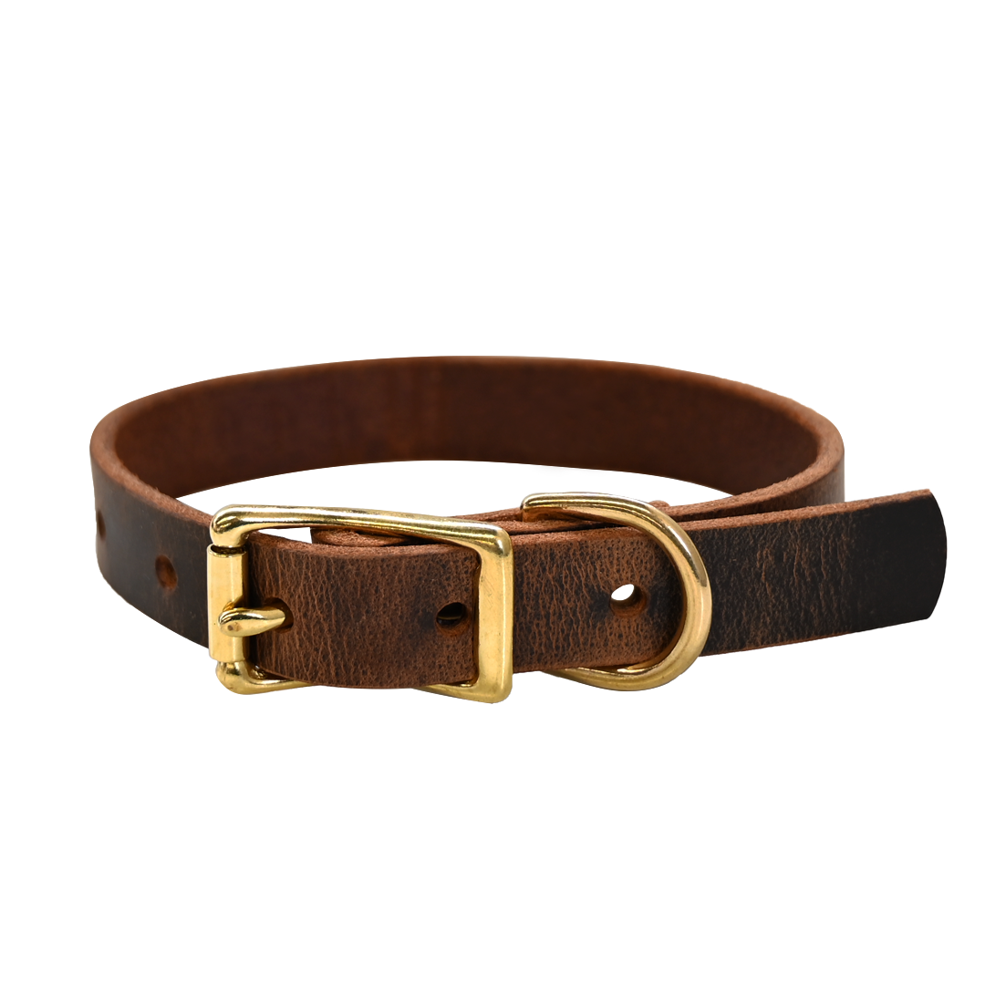 Small Breed Dog Collar - Distressed Brown - Brass