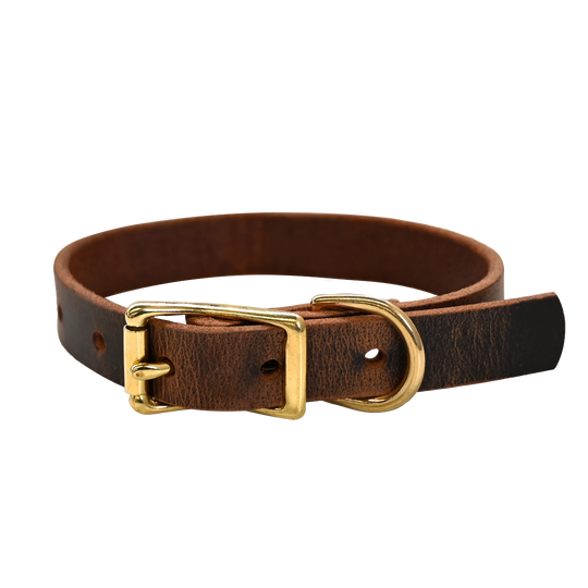 Small Breed Dog Collar - Distressed Brown - Brass