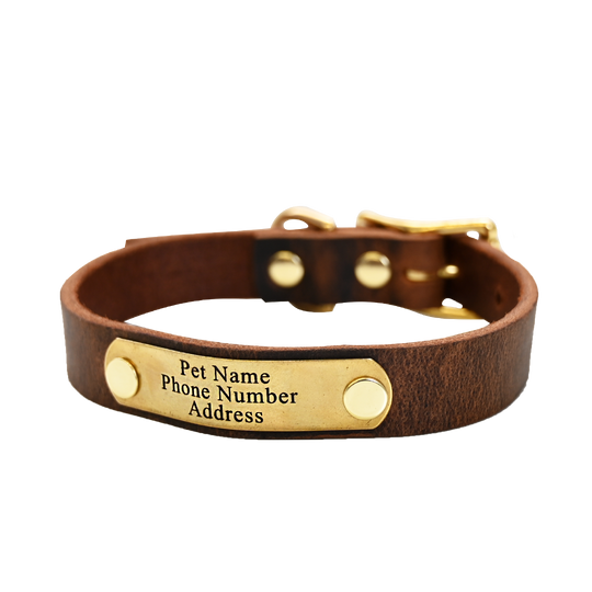 Small Breed Dog Collar - Distressed Brown - Brass Plate