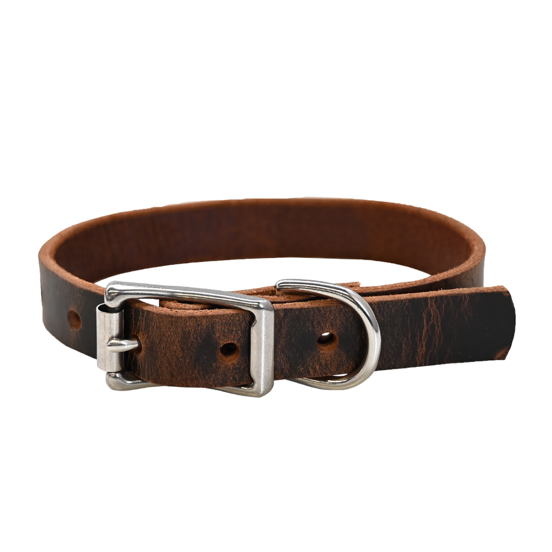 Small Breed Dog Collar - Distressed Brown - Nickel