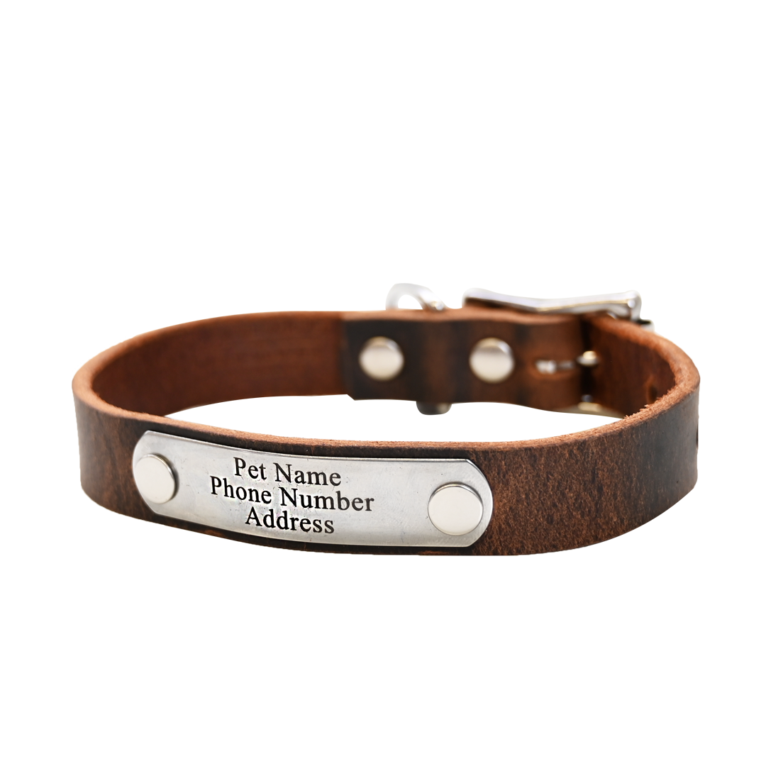 Small Breed Dog Collar - Distressed Brown - Nickel Plate