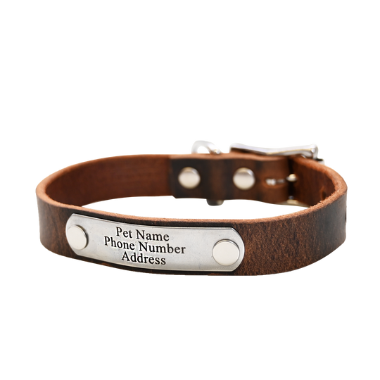 Small Breed Dog Collar - Distressed Brown - Nickel Plate