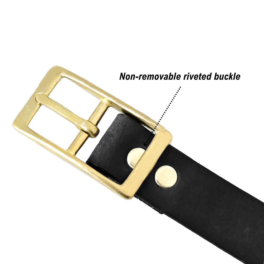 dress belt buckle - black/brass