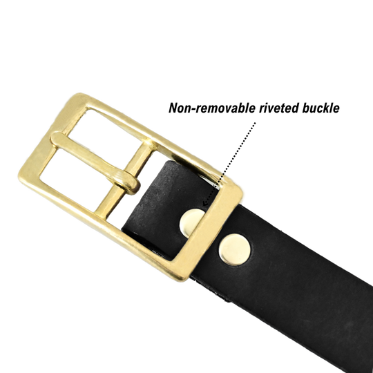 dress belt buckle - black/brass