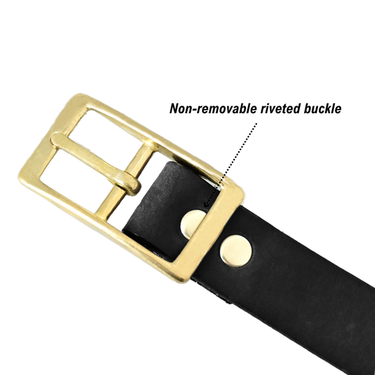 Legacy Belt Riveted Buckle